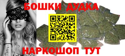 тгк Бийск