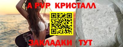 тгк Бийск
