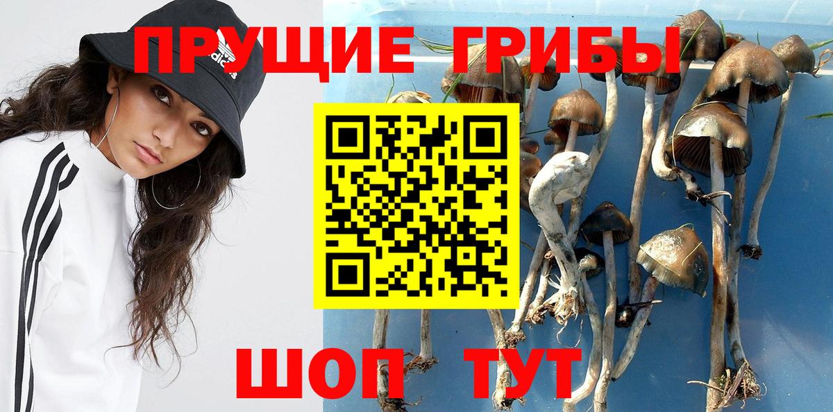 Галлюциногенные грибы прущие грибы  Вход с VPN  Коломна 